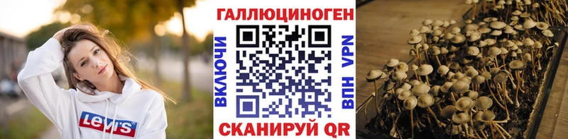 мега ТОР  Абинск  Псилоцибиновые грибы ЛСД 